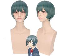 Anime Watashi ga Motete Dousunda cosplay wig Synthetic Hair for boys men Kiss Him Not Me Halloween Cosplay short Wigs + wig cap One Size PL-710 WIG