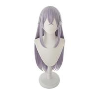 Anime Wig Azur Lane Cosplay Gangut Wig,Long Straight Wig,Costume Halloween Wig,For Halloween,Costume Party,Anime Show,Cosplay Event,Concerts(Size:Silver) Cosplay Anime Wig Coser (Size : Purper)