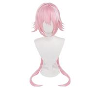 Anime Wig Fate Cosplay Astolfo Wig,Pink Long Wig,Costume Halloween Wig,For Halloween,Costume Party,Anime Show,Cosplay Event,Concerts(Size:Style B) Cosplay Anime Wig Coser (Size : Stijl C)