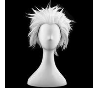Anime Wig Fate Cosplay Emiya Shirou Wig,Short Wig,Costume Halloween Wig,For Halloween,Costume Party,Anime Show,Cosplay Event,Concerts(Color:Red) Cosplay Anime Wig Coser (Color : Zilver)