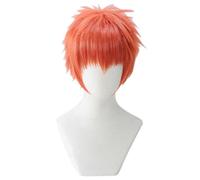 Anime Wig Fate Cosplay Emiya Shirou Wig,Short Wig,Costume Halloween Wig,For Halloween,Costume Party,Anime Show,Cosplay Event,Concerts(Color:Red) Cosplay Anime Wig Coser (Color : Rood)