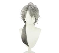 Anime Wig for Vtuber Kaida Haru Cosplay Wig,Gray Wig,Costume Halloween Wig,for Halloween,Costume Party,Anime Show,Cosplay Event,Concerts(Size:Long) Cosplay Anime Wig Coser (Size : Lang)