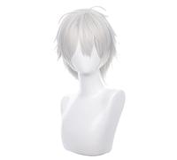 Anime Wig for Vtuber Kuzuha Cosplay Wig,Silver Wig,Costume Halloween Wig,For Halloween,Costume Party,Anime Show,Cosplay Event,Concerts(Size:Long) Cosplay Anime Wig Coser (Size : Kort)