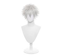 Anime Wig Gintama Cosplay Sakata Gintoki Wig,Anime Wig,Costume Halloween Wig,For Halloween,Costume Party,Anime Show,Cosplay Event,Concerts(Color:White) Cosplay Anime Wig Coser (Color : Zilver)