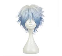 Anime Wig Gintama Cosplay Sakata Gintoki Wig,Anime Wig,Costume Halloween Wig,for Halloween,Costume Party,Anime Show,Cosplay Event,Concerts(Color:White) Cosplay Anime Wig Coser (Color : Blauw) Blue