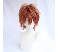 Anime Wig Identity V Cosplay Seer Eli Clark Wig,Game Wig,Costume Halloween Wig,For Halloween,Costume Party,Anime Show,Cosplay Event,Concerts(Color:Brown) Cosplay Anime Wig Coser ( Color : Bruin )