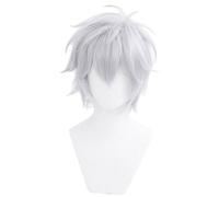 Anime Wig Kaworu Nagisa Short Silver Gray Halloween Costume Cosplay Wig,For Christmas Carnival Party