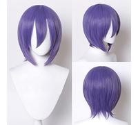 Anime Wig Kuroko no Basuke Cosplay Murasakibara Atsushi Wig,Purple Wig,Costume Halloween Wig,For Halloween,Costume Party,Anime Show,Cosplay Event,Concerts(Size:Long) Cosplay Anime Wig Coser (Size : K