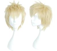 Anime Wig Ryuji Sakamoto Cosplay Wig for Persona 5,Short Blonde Wig with Free Wig Cap,for Costume Party, Anime Show, Cosplay Event, Concerts, Daily Wig