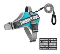 Animire Dog Harness and Leash Set, Reflective with 10 Patches, 3 Rings, Emotional Support Therapy, Dog Harness for Small Medium Large Dogs(Teal, S)
