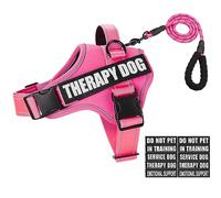 Animire Reflective Service Dog Vest with 10 Patches, 3 Rings No Choke Pet Vest for Leash Placement, in Training Dog Harness for Small Medium Large Dogs (Hot Pink, XS)