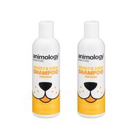 Animology Dog Shampoo 250ml - Honey & Shea - This Sweet And Smooth Fragrance Leaves a Delightful Scent - Pack of 2