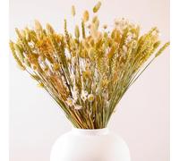 Anita Dried Flower Bouquet 55cm - Large Dried Flower Bouquet in Craft Paper Sleeve for Vase - Home Decor Accessories Living Room - Decorative Arrangements