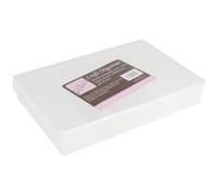 Anitas Craft Organiser With Lid, 26.6 x 18 x 4.2cm, Clear Plastic, Pack Of 1, For Art, Craft, Hair And Nail Accessories, Gems, Beads, Fishing, Office Tidy