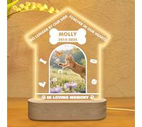 AnJeey Personalised Pet Memorial Light for Cats - LED Night Light Photo Frame with Acrylic Panel & Wooden Base, Personalised Pet Remembrance Gift (House shape)