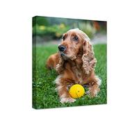 Anjiefo Personalized Photo to Canvas Print - Canvas Prints With Your Photos on Custom Wall Art for Bedroom, Living Room, Wedding Baby Pet Family Picture Framed Wall Art (11" W x 14" H)