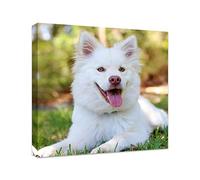 Anjiefo Personalized Photo to Canvas Print - Canvas Prints With Your Photos on Custom Wall Art for Bedroom, Living Room, Wedding Baby Pet Family Picture Framed Wall Art(16" W x 16" H)