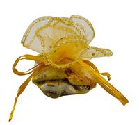 Ankirol 100pcs Sheer Organza Favor Bags Round Drawstring Organza Jewelry Candy Pouch 26cm/10.2 inch Diameter Christmas Wedding Party Favor Gift Packaging Bags (Gold)