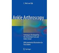 Ankle Arthroscopy: Techniques Developed by the Amsterdam Foot and Ankle School