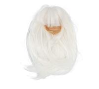 ANKROYU 1/6 Ball Jointed Doll Wig Long Straight High Temperature Silk Hair Replacement Wigs for BJD Dolls Head Circumference 15.5 to 17cm DIY Styling (White)