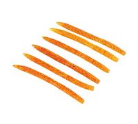 ANKROYU 6 PCS PVC Noodle Fishing Baits, Maggot Earth Lures with Reflective Pieces, Bite Resistant Saltwater Soft Bait for Perch, Slow Sink Technique (Orange)