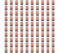 ANKROYU Push Wire Connector 100Pcs Quick Connect Terminal Blocks with Test Hole Flame Retardant PC Material for Home Appliances Electrical Wiring DIY Projects Compact Size Series (PCT-212)