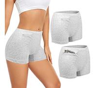 ANLINKSHINE Women's Underwear with Secret Hidden Pocket Panties/Secret Pockets (2 Packs), Gray, XL
