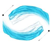 Anlising 2PCS Dance Silk Veil Poi, Belly Dance Colorful Veil Poi, Silk Poi Throwing Balls, Silk Belly Dance Ball, Silk Veil with Poi Ball, Suitable for Dance Performances and Practice