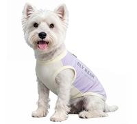 Anlitent Dog Cooling Vest UPF 50 Sunscreen UV Protection Ice Silk Breathable Mesh Bug Repellent Summer Beach Hiking Daily Walk Dirt-Resistant Pet Apparel Mini Purple for Teacup Breeds, XS (0.5-1.5kg)