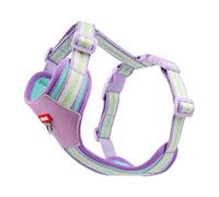 Anlitent Dog Harness for Small Breeds (2-14kg) - Breathable Mesh, No-Pull -Easy Walking Overhead Pet Vest Harnesses for French Bulldog, Corgi, Walking,Running Cute Extra Small