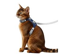 Anlitent Kitten Harness Collar Lead Kit S for Medium Large Cat 5-8kg - Reflective Harness & Leash for Safety, Adjustable Soft Vest Colthing for Puppy, Perfect for Night Walks, Garden, Travel Blue