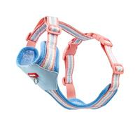 Anlitent Safety Dog Harness for Small Dogs- Breathable Mesh,Anti-Pull- Ease to Use Overhead Pet Harnesses -Perfect for Bichon Frise, Teddy, Corgi Puppies Blue XS