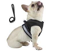 Anlitent Soft Mesh No Pull Cat Harness and Lead Set for Walking, Escape Proof Kitten Vest Harnesses for Small Dogs/Cats/Animals Rabbit, Cool Cat Dog Collar with Leash (Black, Large)