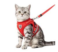 Anlitent Soft Mesh No Pull Cat Harness and Lead Set for Walking, Escape Proof Kitten Vest Harnesses for Small Dogs/Cats/Animals Rabbit, Cool Cat Dog Collar with Leash (Red, Medium)