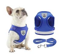 Anlitent Soft Mesh No Pull Cat Harness and Lead Set for Walking, Escape Proof Kitten Vest Harnesses for Small Dogs/Cats/Animals Rabbit, Cool Cat Dog Collar with Leash (Blue, X-Large)