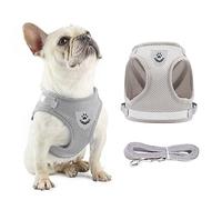 Anlitent Soft Mesh No Pull Cat Harness and Lead Set for Walking, Escape Proof Kitten Vest Harnesses for Small Dogs/Cats/Animals Rabbit, Cool Cat Dog Collar with Leash (Grey, X-Large)