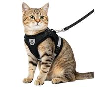 Anlitent Soft Mesh No Pull Cat Harness and Lead Set for Walking, Escape Proof Kitten Vest Harnesses for Small Dogs/Cats/Animals Rabbit, Cool Cat Dog Collar with Leash (Black, X-Large)