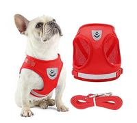Anlitent Soft Mesh No Pull Cat Harness and Lead Set for Walking, Escape Proof Kitten Vest Harnesses for Small Dogs/Cats/Animals Rabbit, Cool Cat Dog Collar with Leash (Red, Large)