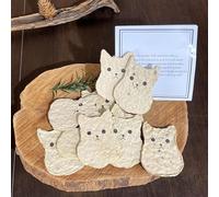 ANLYAWX Cat Sympathy Gift Set - Cat Memorial Gift with Greeting Card & Forget-me-not Seeds, Thoughtful Pet Loss Gift for Cat Lovers, Plantable Remembrance Keepsake for Bereaved Pet Owners