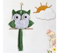 ANMUXI Macrame Owl Wall Hanging - Handmade Boho Hanging Tapestry Art Home Decor, Nature-Inspired Gift for Owl Lovers, Handwoven Fiber Wall Art Minimalist Bird-themed Decor (Avocado Green)