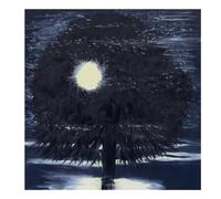Ann Craven: Night