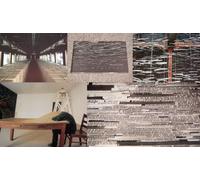 Ann Hamilton: The Picture is Still