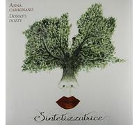 Anna Caragnano & Donato Dozzy - Sintetizzatrice [VINYL]