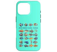 Anna Maria Island Florida Colorful Fish Design Case for iPhone 16 Pro