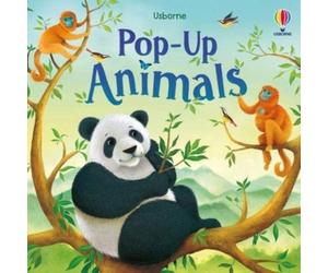 Anna Milbourne Pop-up Animals Board book Book Anna Milbourne Multicolor