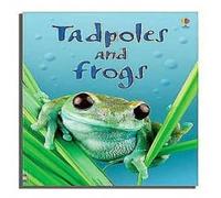 Anna Milbourne Tadpoles & Frogs Hardback Book Anna Milbourne Multicolor