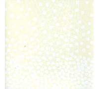 Anna Oxygen - This Is An Exercise