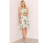 Anna Rose Women's Printed Jacquard Midi Dress in Olive | Size: 18 Anna Rose Olive 18