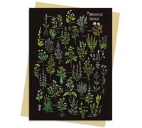 Anna Stead: A Medieval Herbal Greeting Card Pack: Pack of 6