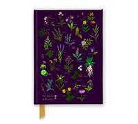 Anna Stead: For Spells & Potions (Foiled Journal) (Flame Tree Notebooks)